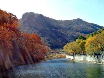 新澳天天开奖资料大全旅游团，青岛汽车座垫